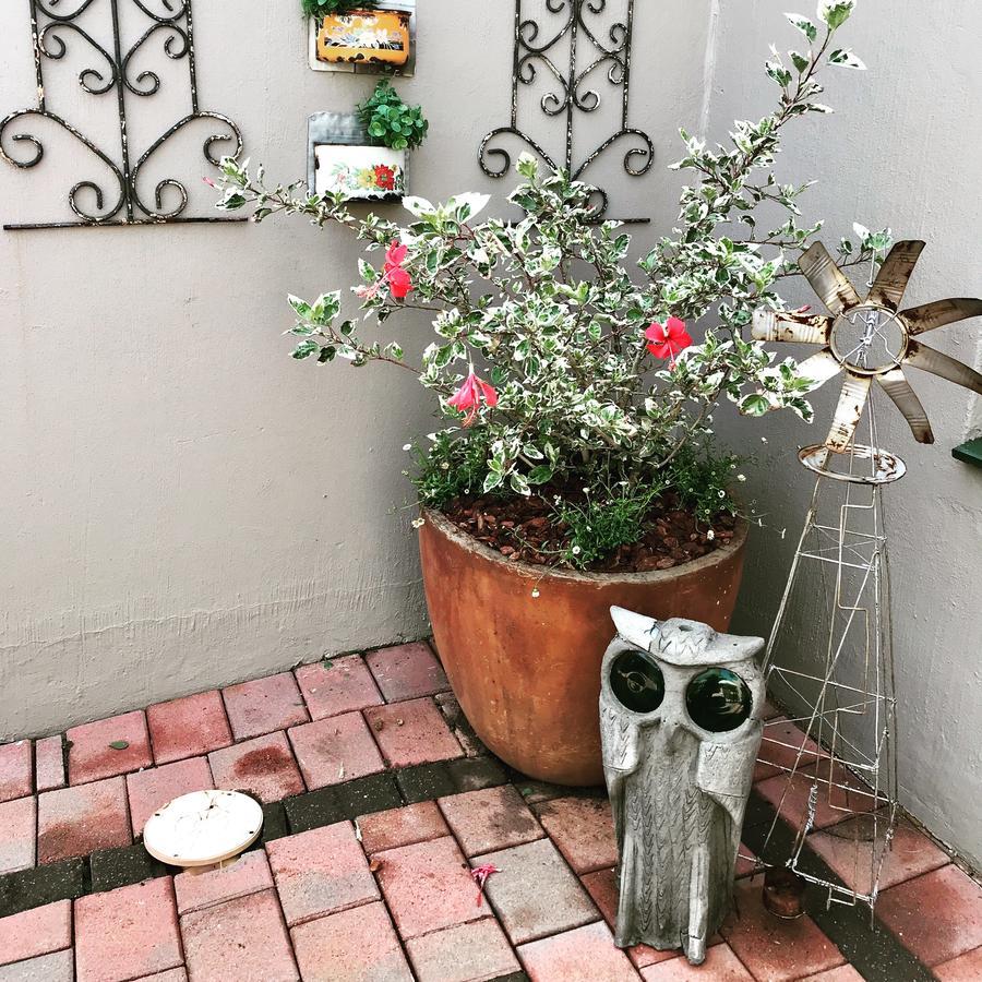 Blu Trea B&B Johannesburg Exterior photo